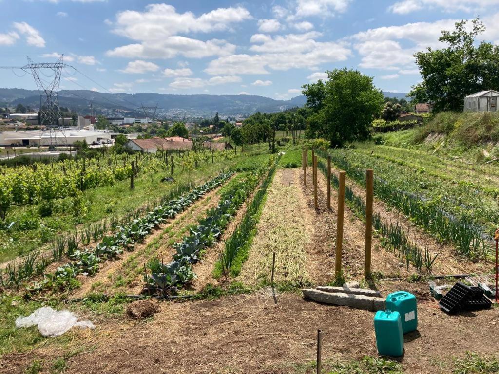 Quinta Do Pinheiro Villa Guimarães Buitenkant foto